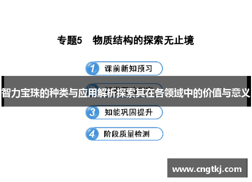 智力宝珠的种类与应用解析探索其在各领域中的价值与意义