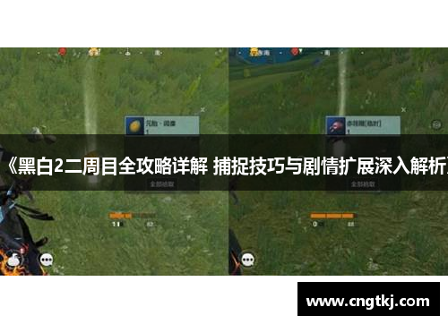 《黑白2二周目全攻略详解 捕捉技巧与剧情扩展深入解析》