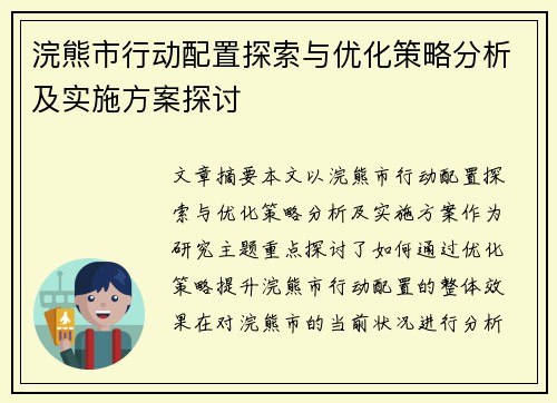 浣熊市行动配置探索与优化策略分析及实施方案探讨